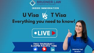 U visa vs T visa [upl. by Remsen]