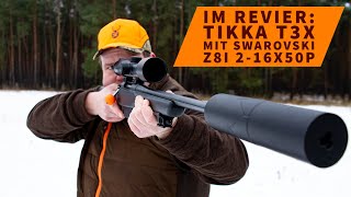 Tikka T3x mit Swarowski Z8i 216x50P Erfahrungsbericht aus dem Revier in Brandenburg [upl. by Adnic129]