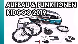 Qeridoo Kidgoo 2022 Review  Buggy amp Fahrradanhänger im Test [upl. by Anayik]