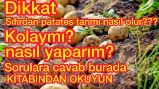 Patates ne zaman ekilir [upl. by Amrac293]