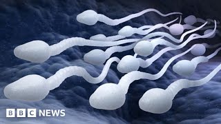 Male contraceptive pill a real possibility say scientists  BBC News [upl. by Aibonez]