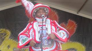 Comanche Hunters Mardi Gras Indians at New Orleans Jazz Fest 2014 04252014 [upl. by Dudden512]