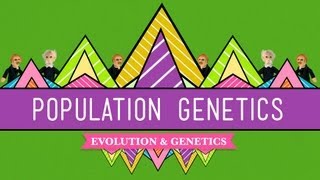 NONRANDOM MATING CHANGES ALLELE FREQUENCIES [upl. by Ennovehc]