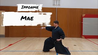 iaido znkr 1st kata Mae [upl. by Oibirot]