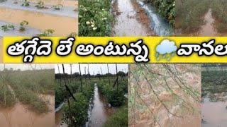 ఇప్పుడు పడుతున్న భారీ వర్షాలుChallakere heavy RAIN  Anantapurtomatomarketrates [upl. by Docila]