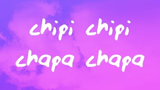 chipi chipi chapa chapa dubi dubi daba daba [upl. by Ortiz]