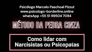 Resistindo a Manipulação Ferramentas Práticas Contra Narcisistas e Psicopatas [upl. by Olimreh]