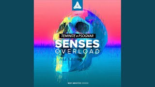 Senses Overload Original Mix [upl. by Lesna]