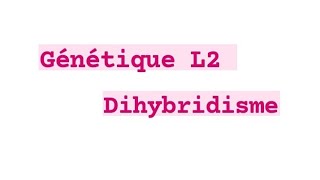 Génétique  Dihybridisme  gène liée et indépendant [upl. by Eletnahs]