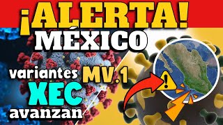 ALERTA EN MÉXICO  VARIANTES MV1 Y XEC AVANZAN [upl. by Einnek708]