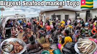 Largest seafood market in lomé Buying and cooking Delicious Fish and Attieké in Togo 🇹🇬west Africa🌍 [upl. by Ailelc793]