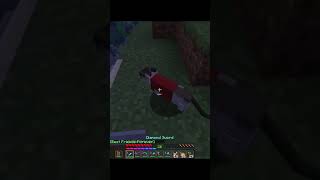 Veritable Proof of Crimes minecraft minecraftsmp [upl. by Carita]