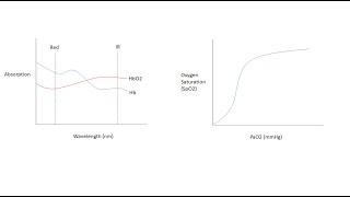 Understanding Oxygenation Respiratory Physiology and Clinical Application [upl. by Roswell]