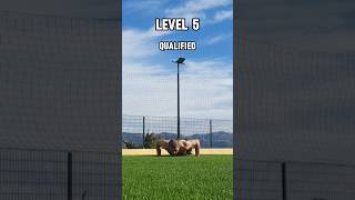 What is your level calisthenics fitness pushups shorts [upl. by Neicul]