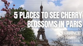 5 Places To See Cherry Blossoms In Paris  Paris  France  Things To Do In Paris [upl. by Ard]