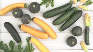 Nos conseils de culture  courgettes [upl. by Bonney]