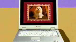 CM 東芝 dynabook EX PC Life編 [upl. by Nonnelg]