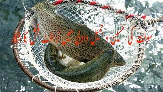 Hunting trout fish in the valley of Swat Pakistan [upl. by Bezanson]