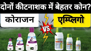 कोराजन डालें या एम्प्लिगो  coragen vs ampligo coragen insecticide ampligo insecticide [upl. by Arrais93]