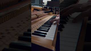 Felt piano on danish pianette [upl. by Arola606]