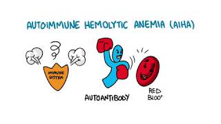 Autoimmune Hemolytic Anemia [upl. by Conyers377]