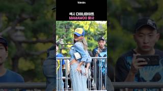 섹시 다이너마이트 화사 마마무 뮤직뱅크출근길 mamamoo hwasa [upl. by Enhpad]