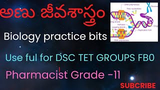 అణు జీవశాస్త్రం Biology practice bits useful for DSC TET GROUPS PHARMACIST FBO [upl. by Raffin]