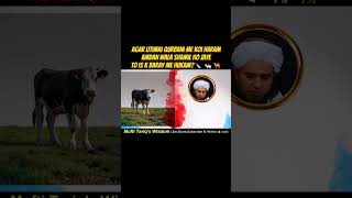 Collective Qurbani What to Do If Someone Has Haram Income🔪 🩸🐄 shorts [upl. by Naesar357]