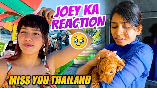 Last day in Thailand Aur JOEY ka Reaction 😍 [upl. by Naitsirhk]