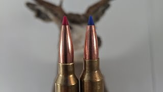 Hornady vs Barnes expansion Test [upl. by Telfer]