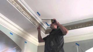 victorian ceiling commercial [upl. by Namas]