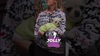 Jolly Collection 2024  2025  amiplay® doglife puppy amiplay shorts [upl. by Imis]