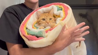 Worlds Largest Purrito [upl. by Rapsag593]