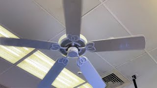 Kichler Patio Ceiling Fans in an Arcade [upl. by Sauls]