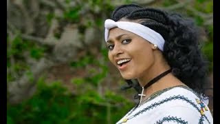 Best Gonder Songs Compilation  ምርጥ የጎንደር ዘፈኖች ስብስብ [upl. by Hindu]