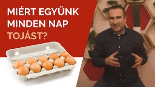 Miért együnk minden nap Tojást [upl. by Akeimahs798]