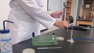 Lab 517 Gelatinase Test [upl. by Henghold]