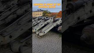 Cannons in front of the Uppsala Castle 273 [upl. by Barnaba]