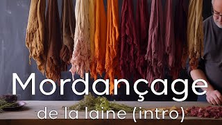 Mordançage de la laine avec Michel Garcia intro [upl. by Yllim]