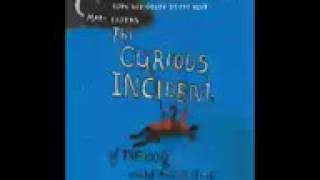 The Curious Incident of the Dog in the Night Audiobook Part 45 Mark Haddon [upl. by Razatlab]