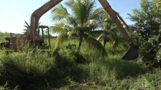 Suriname The ATeam op Plantage Mariënbosch [upl. by Itaws]