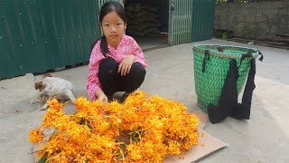 Poor girl Harvest wild flowers and to sell  Green forest life [upl. by Frederique82]