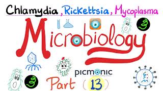 Microbiology  Picmonic  Chlamydia Rickettsia and Mycoplasma Atypical bacteria  Part 13 [upl. by Marl]