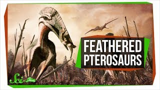 Feathered Reptiles Ruled Earths Skies Twice  SciShow News [upl. by Nnaasil]