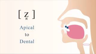 z̺̪  voiced apical dental sibilant fricative [upl. by Tiphanie]