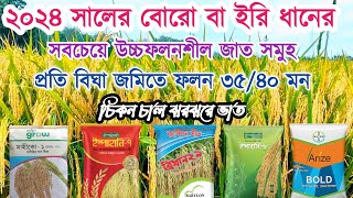 বোরো ধানের উন্নত জাত। ২০২৪ সালের বোরো ধানের উচ্চ ফলনশীল জাত। চিকন ধানের জাত। video rice hybrid [upl. by Noffihc12]