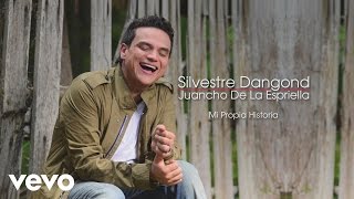 Silvestre Dangond Juancho De La Espriella  Mi Propia Historia Cover Audio [upl. by Luigi105]