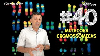 Mutações cromossômicas numéricas  Euploidias e Aneuploidias 2019  PAULO HENRIQUE [upl. by Disraeli]