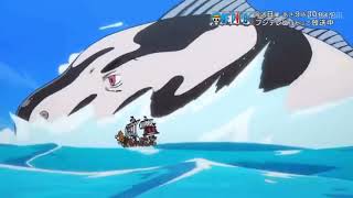 One Piece Opening  Nhạc One Piece  We Are Chúng ta [upl. by Tehc]