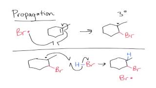 Anti Markovnikov Addition to Alkenes [upl. by Santa199]